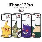 iPhone13 Pro 6.1inch