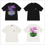 ショッピングstussy (ステューシー) STUSSY FALLEN ANGEL PIGMENT DYED TEE 1904957 メンズ 半袖 Tシャツ ストック ロゴ stussy トップス コットンメンズ [並行輸入品]