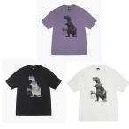 (ステューシー) STUSSY 25SS BIG&MEATY PIG.DYED TEE 1950133 Tシャツ 半袖 並行輸入品