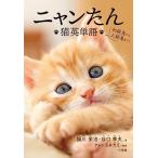 nyan..: кошка английское слово 
