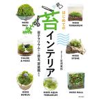  впервые .. мох интерьер ( мох террариум из кокэдама, мох бонсай до )