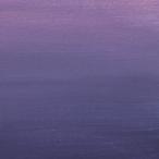 離婚伝説 (特典なし)