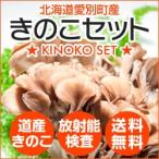 きのこセット 北海道産きのこセット 出荷度に毎回放射能検査を実施で業界一安全 舞茸、なめこ、エノキのきのこセット