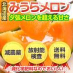三浦さんが育てた北海道の極上みうらメロン優品3.2kg(1.6kg×2)　減農薬　放射能検査済