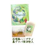 石垣島ハーブティ　島グァバ茶（10�