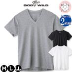 ショッピングぽっきり tシャツ メンズ 半袖 VネックTシャツ 2枚組 グンゼ ボディワイルド V首Tシャツ BW5015A M/L/LL おためし