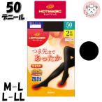ショッピングレッグマジック グンゼ ホットマジック タイツ 2足組 50デニール 吸湿発熱 抗菌防臭 デオドラント M-L/L-LL | 秋冬 秋 冬 レディース ナイロン 肌着 インナー HM-650 GUNZE