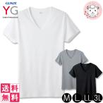 ショッピングぽっきり グンゼ YG ワイジー メンズ コットン100% 半袖 VネックTシャツ YV0015V 2枚セット M/L/LL/3L