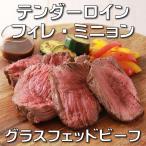 ショッピング牛肉 テンダーロイン（フィレ・ミニョン）牛肉ステーキ　500g　赤身肉　牛ヒレ肉　牛フィレ肉　オージービーフ　オーストラリア産 -SKU109