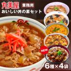 レトルト食品 丼 詰め合わせ 常温保