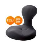 . сиденье сиденье "zaisu" осанка . хорошо становится стул люмбаго таз . установить люмбаго меры осанка корректировка ... установить таз корректировка кошка . меры ... растягиваться ... растягивать .