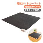 【直送】電磁波99%カット電気ホットカーペット2畳タイプ(本体のみ) 電磁波99%カット 省電力 2畳タイプ