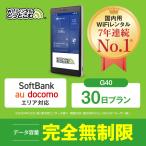 ポケットwifi レンタル 30日 無制限 レンタルwifi 30日 無制限 wifi レンタル 30日 無制限　ソフトバンク T6 300