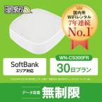 ホームルーターー wifi レンタル 30日