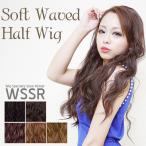 ウィッグ フラダンス ソフトウェー�