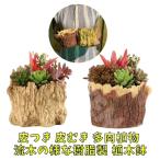 流木植木鉢木目鉢鉢植え樹脂製木調木...