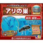 アリ飼育観察セット 夏休み 宿題 自由研究 アリ観察セット アリ飼育キット あり飼育セット アリ飼育セット アリ観察 あり観察 アリ伝説