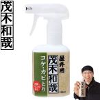 茂木和哉 コケ・カビとりスプレー C00399 コケ取り こけ取り カビ取り剤 玄関 ブロック塀 コンクリート 除去