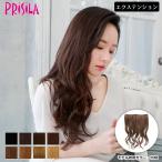 ウィッグ エクステンション クリップで付けられる簡単エクステ TX-26 めちゃ楽エクステリニューアル リラックスカール ウイッグ エクステ プリシラ