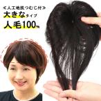 ウィッグ　ヘアピース  人毛100％　