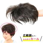 部分 ウィッグ ミセス 自然 薄毛 脱毛症 白髪隠し 増毛 分け目 つむじ ヘアピース 女性用 かつら 脱毛 トップウィッグ 薄毛隠し 小顔 広範囲カバーカール js6415