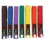 色帯 全9色 [※返品・交換不可] 黒 赤 青 緑 黄 茶 橙 紫