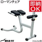 ワイルドフィット ローマンチェア / トレーニングベンチ トレーニング器具 マシン 背筋 筋トレ ホームジム バックエクスベンチ バックエクステンションベンチ