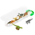  Mini Dinosaur BOX2 A1102