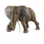  животное figi.a большой лев * тигр * носорог * Africa слон основной настоящий . животное figi.a дом .,. магазин. внутри . оригинал зоопарк * Safari . произведение ..