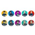 WIND BREAKER жестяная банка значок коллекция ..ver 10 штук входит BOX