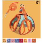  шлейка с поводком кошка тяга . домашнее животное Lead поводок простой простой оборудован кошка для Harness модный шлейка с поводком кошка тяга трос 