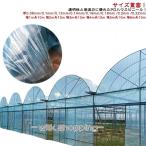 農業用ビニールシート透明 農業用ビニール ビニールハウス シート 家庭用 長さ10m 屋根ビニール 農業用ハウス 農ビ 農PO 農園 園芸用 ハウスビ