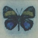 ART-SCHOOL アートスクール / Flora フローラ / 2007.02.28 / 4thアルバム / 初回限定盤 / CD＋DVD / PCCA-02398
