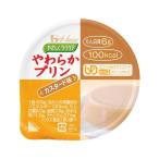 (まとめ) ハウス食品 やわらかプリン カスタード味(48入)〔×3セット〕