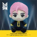 BTS RM TinyTAN ぷりぬい 小さなぬいぐるみ お座りサイズ 2934