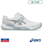  Asics гель Challenger 15 Индия aasics GEL-CHALLENGER 15 INDOOR 1043A025 100 цвет теннис обувь мужской * женский ковровое покрытие для 25FW