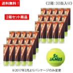 【2箱セット商品】ダンロップ [DUNLOP] テニスボール St.JAMES（セントジェームス）（1缶4球入/30缶/120球※10ダース）