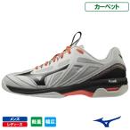 【ネットバーゲン】ミズノ ウエーブエクシード 4 ワイド CS mizuno WAVE EXCEED 4 WIDE CS 61GR201103  メンズ・レディース カーペット用 20FW