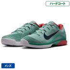 【SALE】ナイキ ズーム ヴェイパー 12 nike zoom VAPOR 12 FV5552-004 テニスシューズ メンズ ハードコート用 25FA