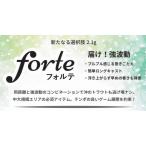 �x���x�b�g�A�[�cVelnet-arts �t�H���eforte 2.1g