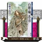 白銀の墟　玄の月　第