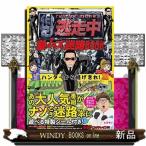 . пробег средний ультра mz лабиринт BOOK