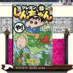 ジュニア版 クレヨンしんちゃん(13)アクションコミックス