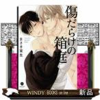 傷だらけの箱庭