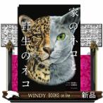 家のネコと野生のネコ