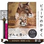 ピューマのかぞく