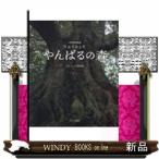 星空 世界自然遺産　ひかりおどる　やんばるの森