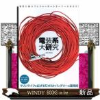  электрический серия большой изучение электрический . сильный лодка для отдыха владельцам ...!