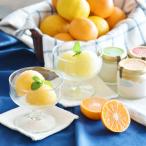  подарок на Bon Festival . средний изначальный 2025 конфеты подарок обычная температура хранение возможность .... еда ..sorube бесплатная доставка Wakayama [. глициния сельское хозяйство .] гладкий агар-агар sorube8 шт. комплект {0010033}[SKT]