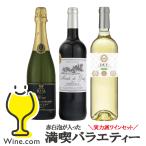 ワインセット ミックス wine 送料無